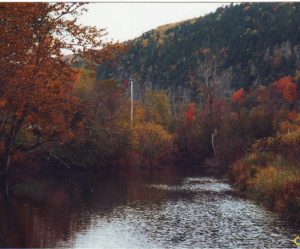 de paysage d'automne au canada