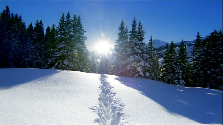 photo paysage de neige