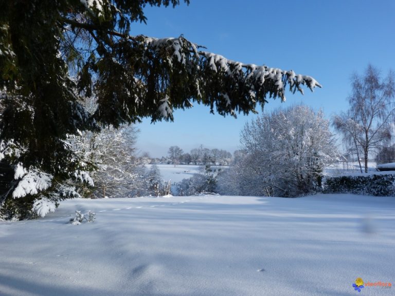 photo photo de paysage d’hiver