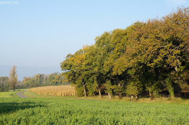 photo image d’un paysage de campagne
