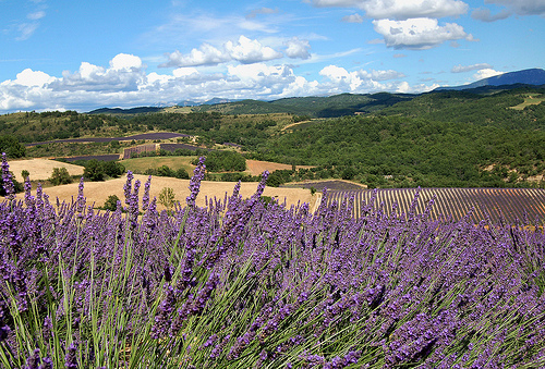 photo image paysage provence