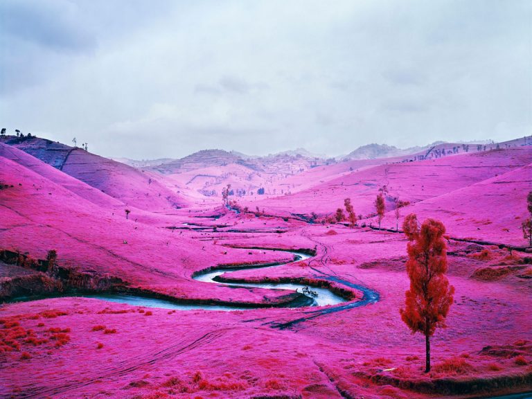 photo paysage rose