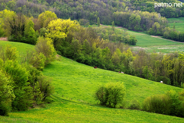 photo paysage rural