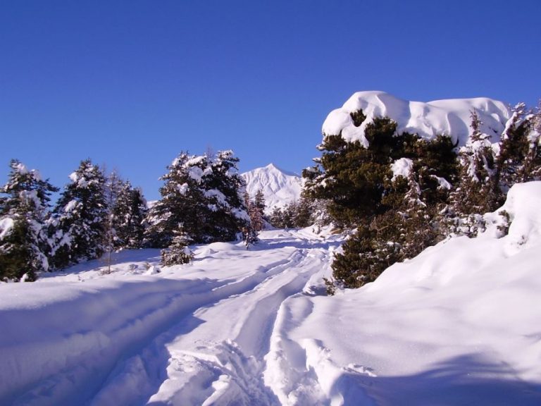 photo paysage sous la neige