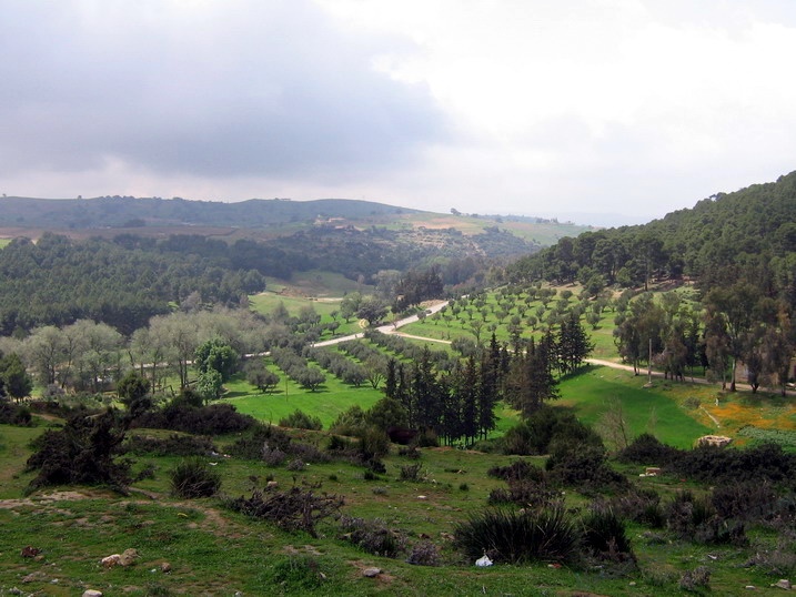 photo paysage algerie