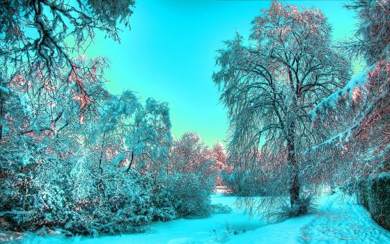 photo photo paysage hiver gratuit
