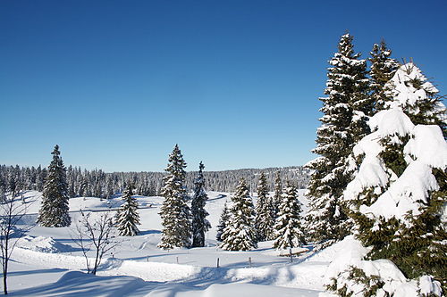 photo paysage janvier