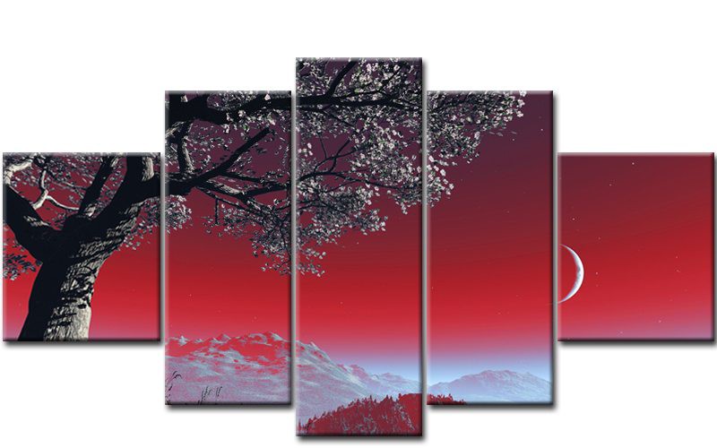 photo paysage latex 3