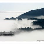 Image paysage brouillard