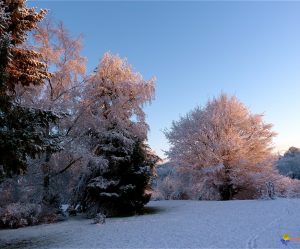 Image paysage sous la neige