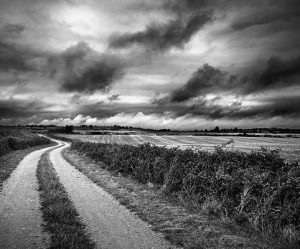 paysage blanc