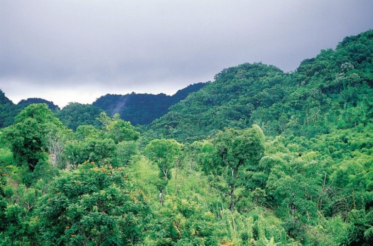 photo paysage jamaique