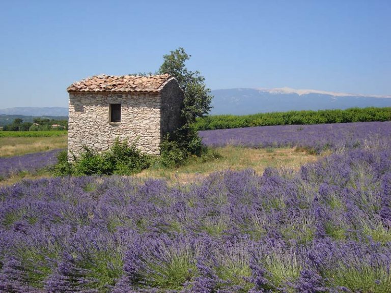 photo paysage provence