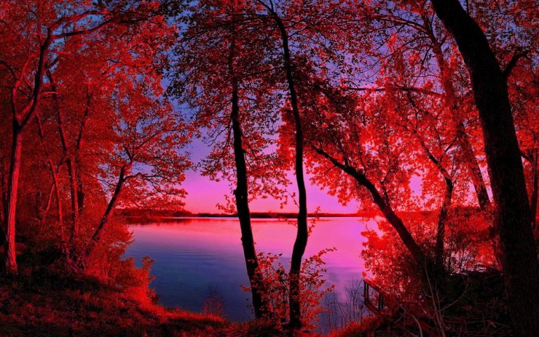 photo paysage rouge