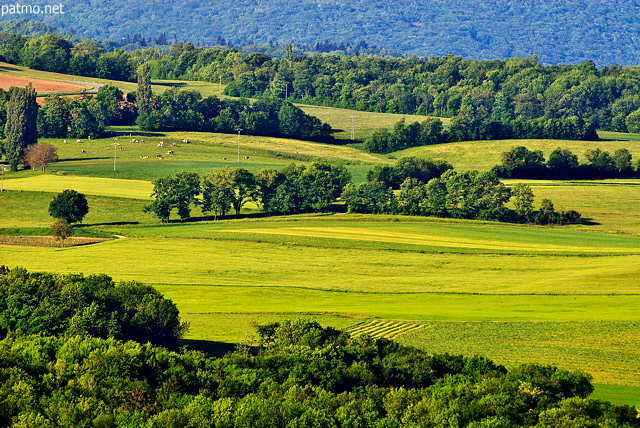 photo photo paysage rural
