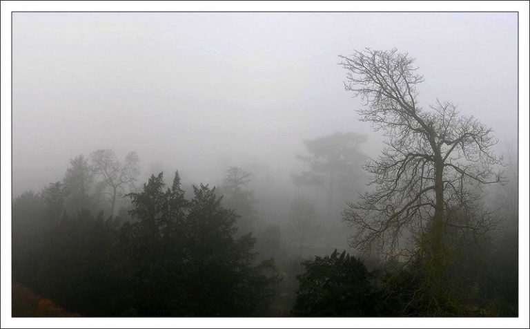 photo image paysage brouillard