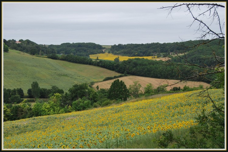 photo image paysage lot et garonne