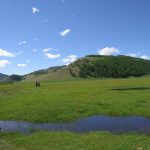 paysage mongolie