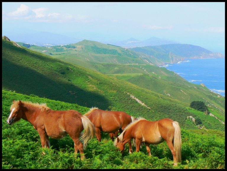 photo photo paysage pays basque