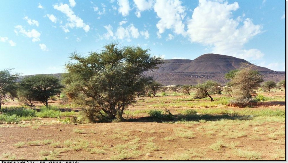 Paysage savane