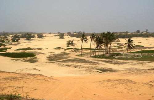 photo photo paysage senegal