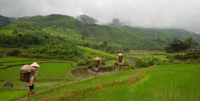 photo photo paysage vietnam