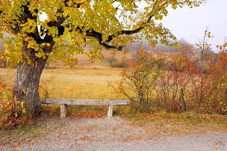 photo image paysage d’automne