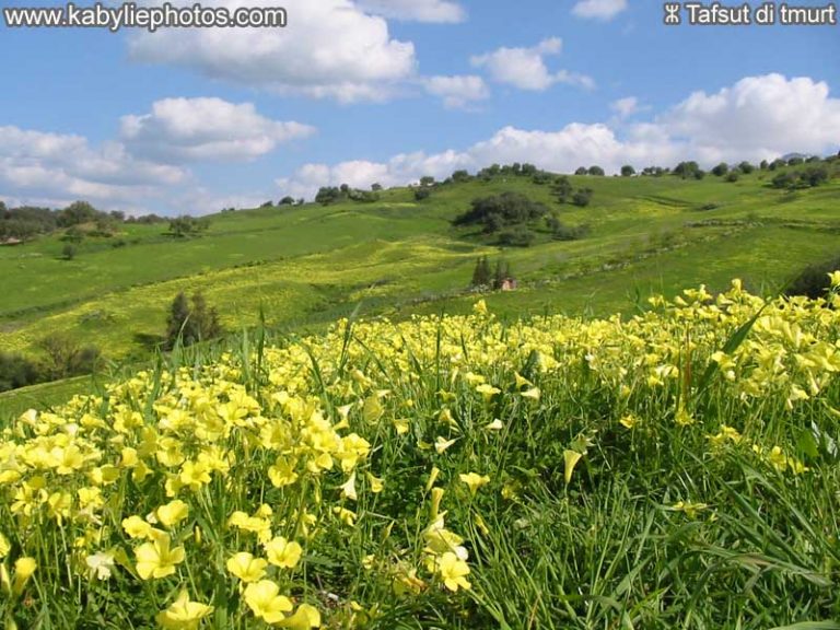 photo photo paysage kabyle
