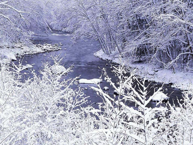photo paysage neigeux