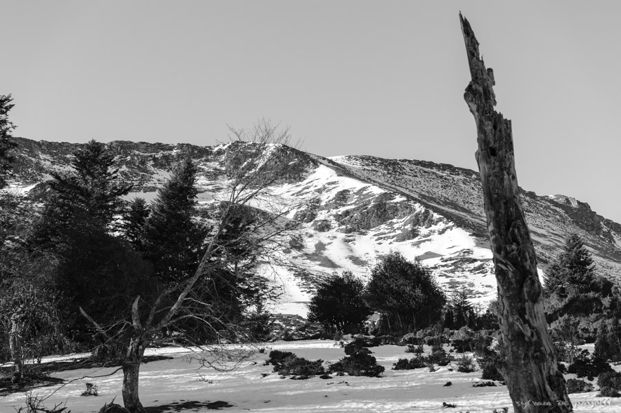 Paysage noir et blanc