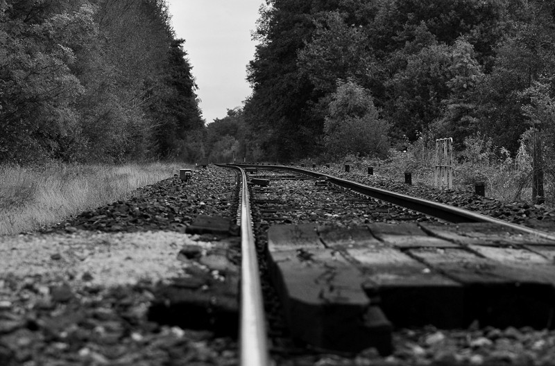 Paysage noir et blanc