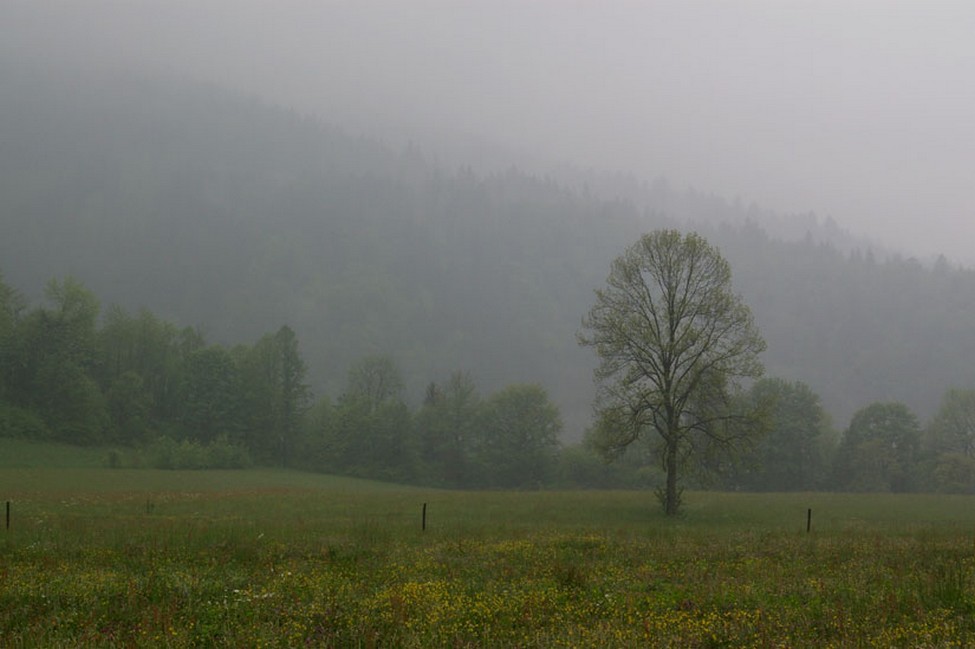 paysage pluie #3