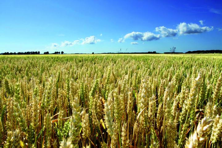 photo photo paysage agricole
