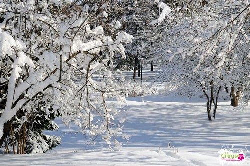 photo photo paysage de neige