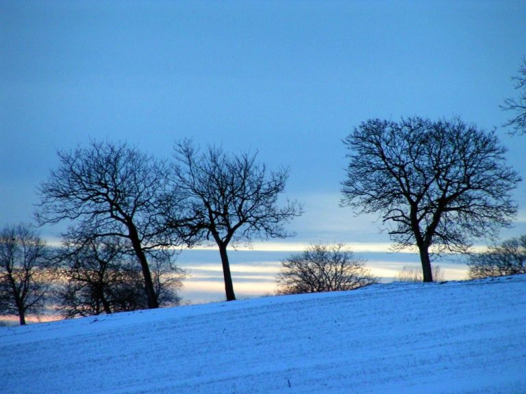 photo paysage hivernal