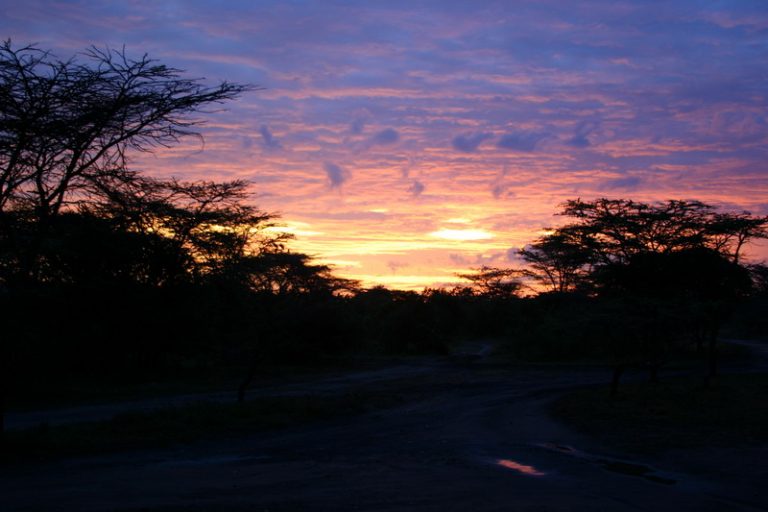 photo paysage kenya