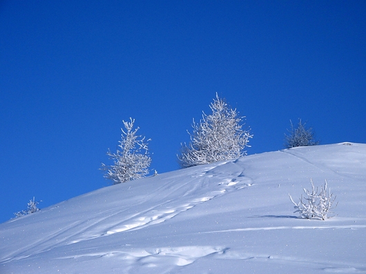 photo image paysage neige