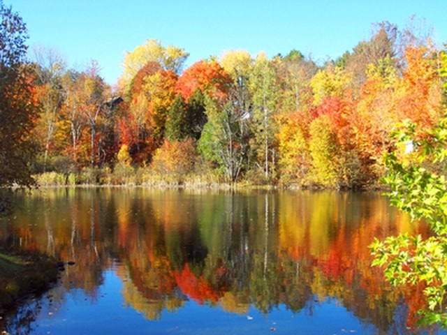 photo paysage quebec automne