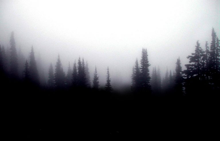 photo paysage sombre