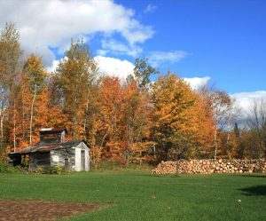 paysage automne québec