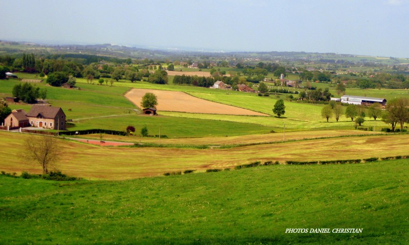 Paysage Campagne 6