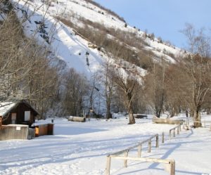 paysage de montagne en hiver