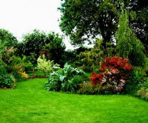 paysage jardin