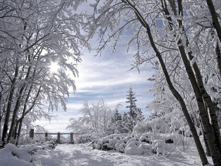 photo paysage neige