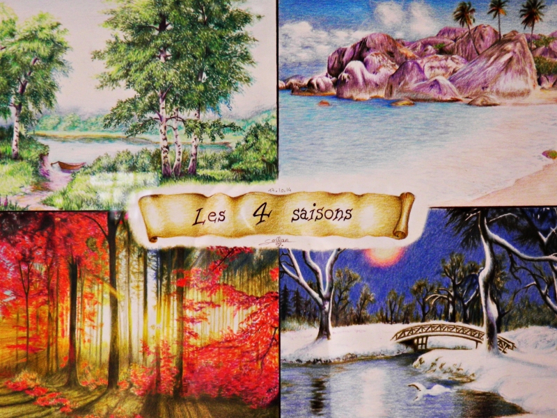 paysage quatre saisons