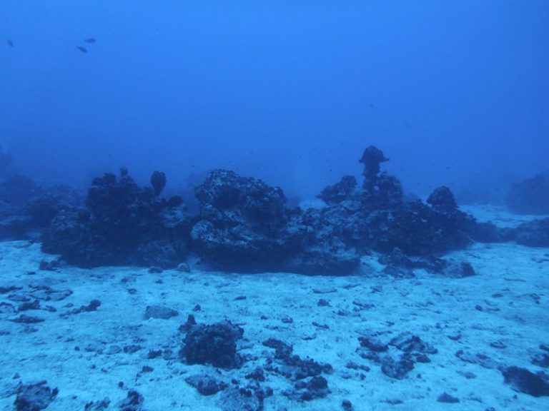 photo paysage sous marin