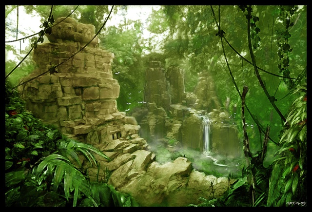 photo paysage jungle