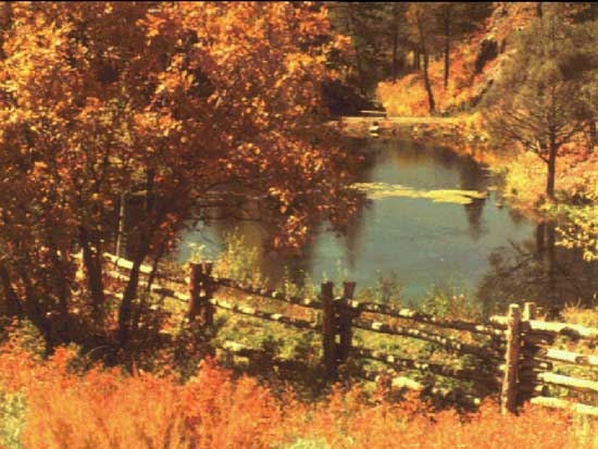photo photo de paysage d’automne