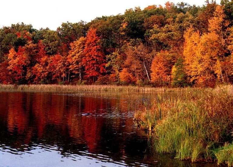 photo photo de paysage d’automne