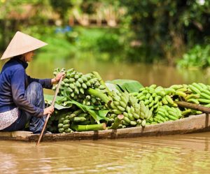 Image paysage vietnam